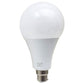 B22 25W Energy Saving Warm White LED Light Bulbs A60 B22 Screw-in non dimmable bulbs