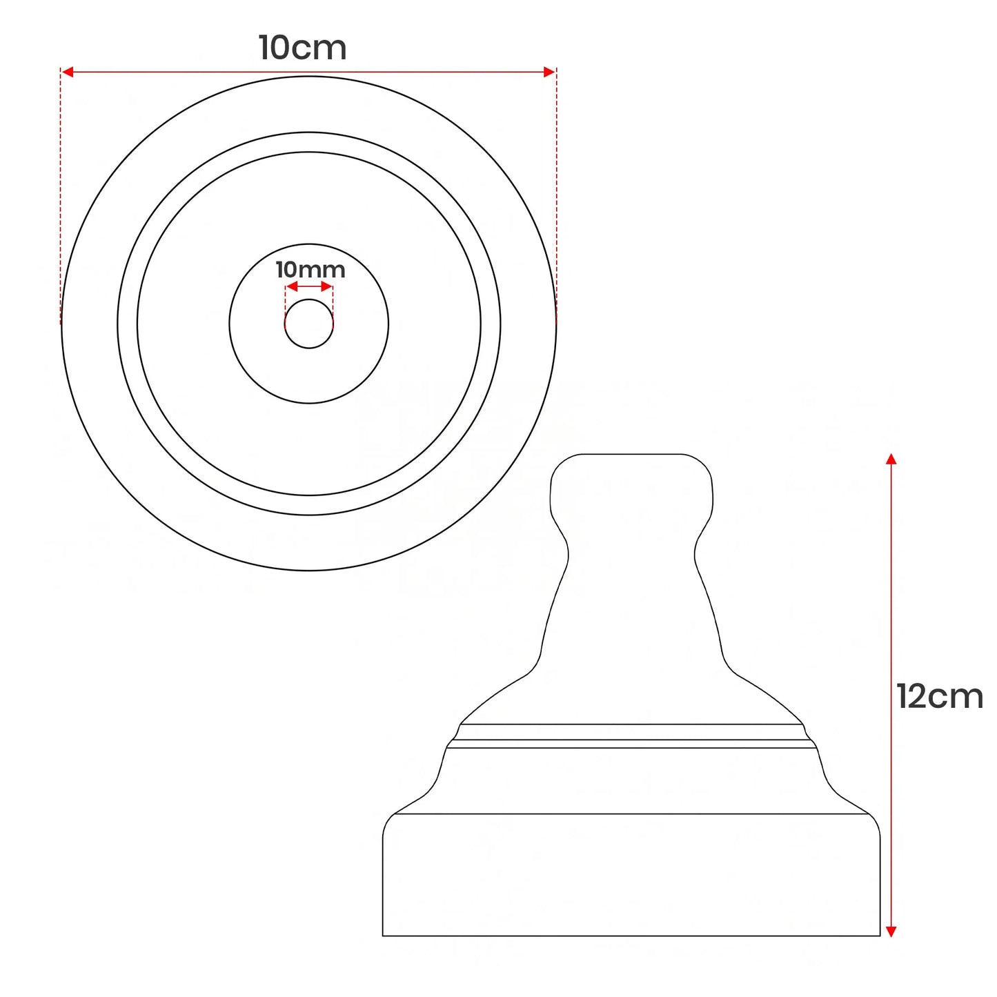 Ceiling Rose