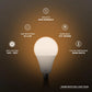 LIGHT_BULB