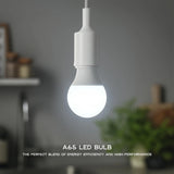 LIGHT_BULB