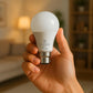 LIGHT_BULB