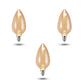Bulb
