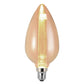 Bulb