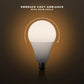 E27 Base Bulb B