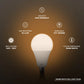 E27 Base Bulb B