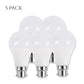 B22 Base Bulb