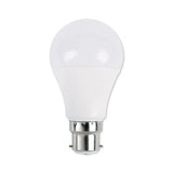B22 Base Bulb