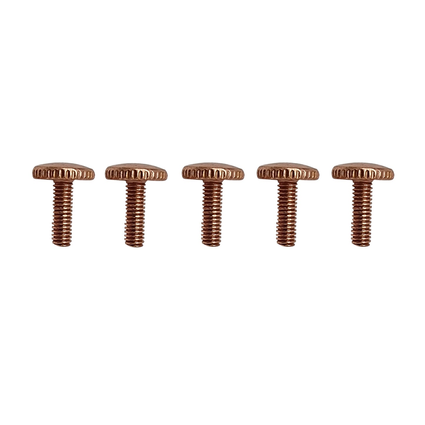 Industrial M4 Round Head Screws – 12mm Hand Tightening