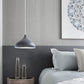 Single Head Dome Shade Hanging Macaron Pendant Light