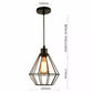 Industrial Metal Bulb Guard Wire Cage Ceiling Pendant Light