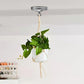 Ceiling Hook for Pendant Lights & Chandeliers | Hanging Light Holder
