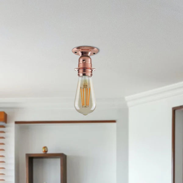 A single copper-finished ceiling light fixture with a clear glass bulb and visible filament, mounted on a white ceiling in an indoor room.