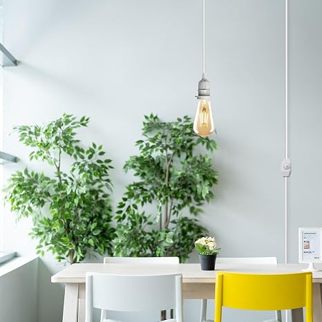 White 2m Plug In Pendant with Switch Holder Lighting Cable