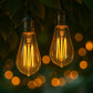 ST64 B22 4W Dimmable Retro Classic Filament LED Bulbs
