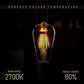 Industrial Dimmable ST64 E27 8W Vintage LED Filament Bulbs