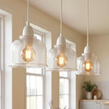 lampshade pendant fit light