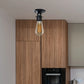 75mm Front Fitting Color Ceiling Hook With Single Point Drop Outlet Plate