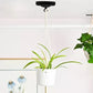75mm Front Fitting Color Ceiling Hook With Single Point Drop Outlet Plate