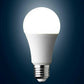 25W E27 Screw LED Light GLS bulbs, Energy Saving Edison Cool White 6000K non dimmable lights