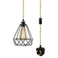 plug in ceiling light