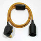 plug in ceiling light