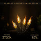 C35 E14 4W LED Dimmable Bent tip Vintage Flame Candle Light Bulb