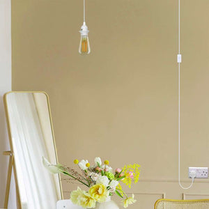 E27 plug-in hanging pendant light fixture white no wiring portable lamp for rental homes and plant lighting.
