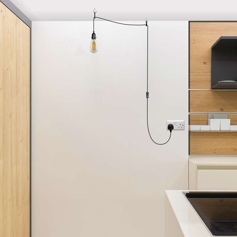 plug in ceiling light