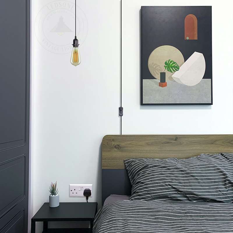 plug in ceiling lights