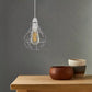 Brushed Metal Lampshade Ceiling Light Fitting Bulb Guard Vintage Lamp Wire Cage