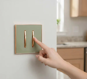 screwless 2 gang wall switch.