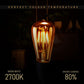 vintage squirrel cage filament