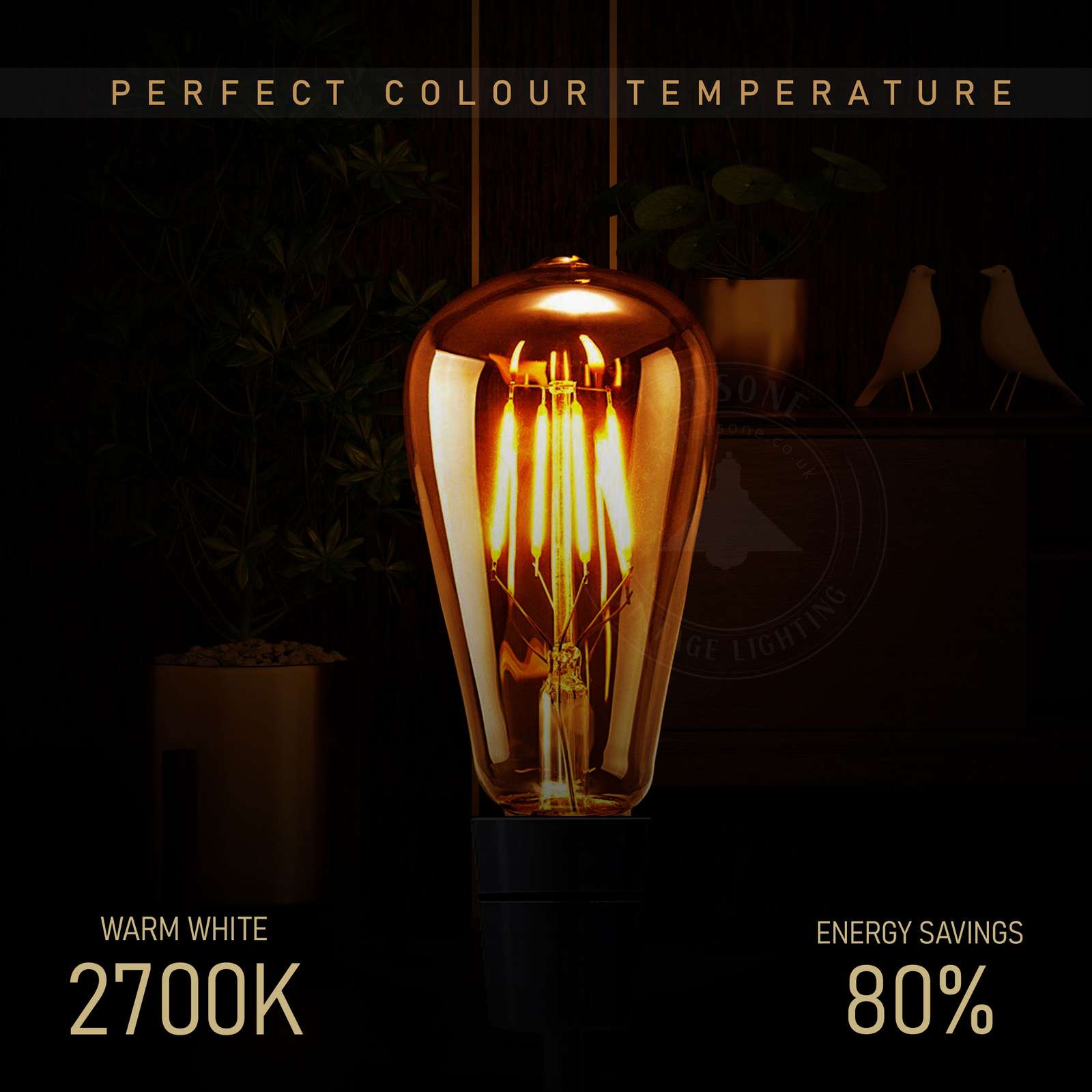 vintage squirrel cage filament
