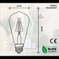 warm white filament bulb
