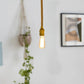 Single Rope Cage Vintage Ceiling Pendant Light Lampshade~3168