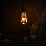 Retro Classic Filament LED Bulb ST64 E27 4W