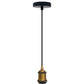 hanging pendant lights with plug