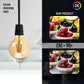 edison globe bulb