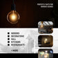 filament style globe bulb