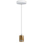 plug in lights for ceiling