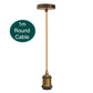 plug in hanging light