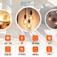 retro globe light bulb