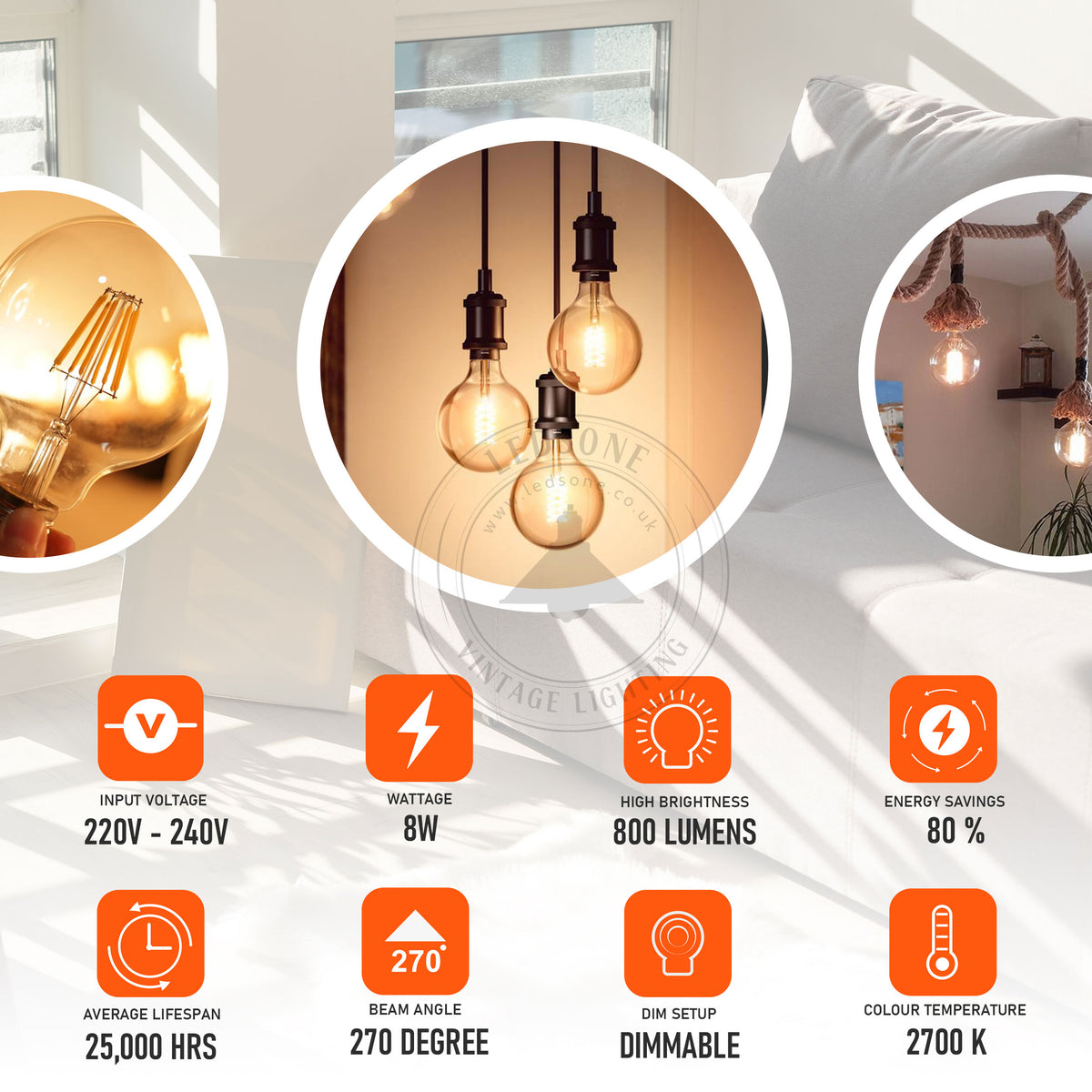 retro globe light bulb